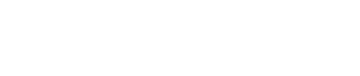 SkillOnNet Logo